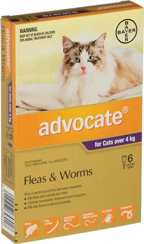 Advocate For Large Cats 4KG  6 Pack