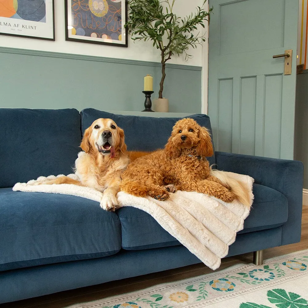 Aspen Pet Blanket - Cream