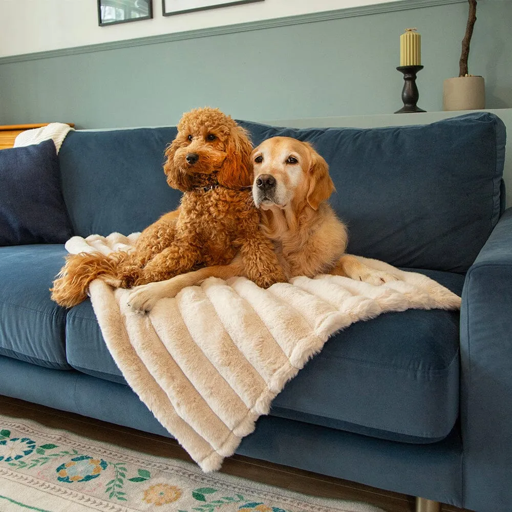 Aspen Pet Blanket - Cream
