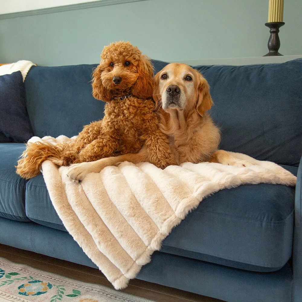 Aspen Pet Blanket - Cream