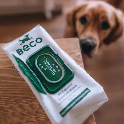 Beco - Bamboo Dog Wipes- Coconut