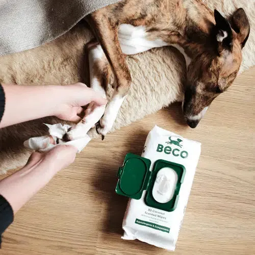 Beco - Bamboo Dog Wipes- Coconut