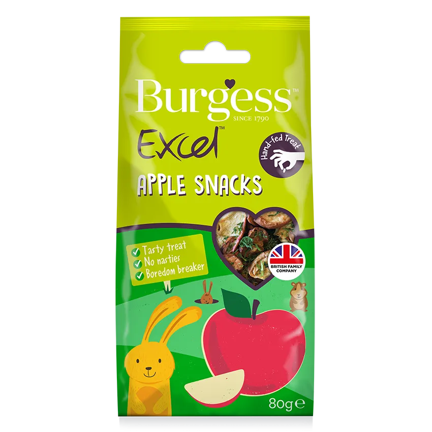Burgess Excel Apple Snacks 80g
