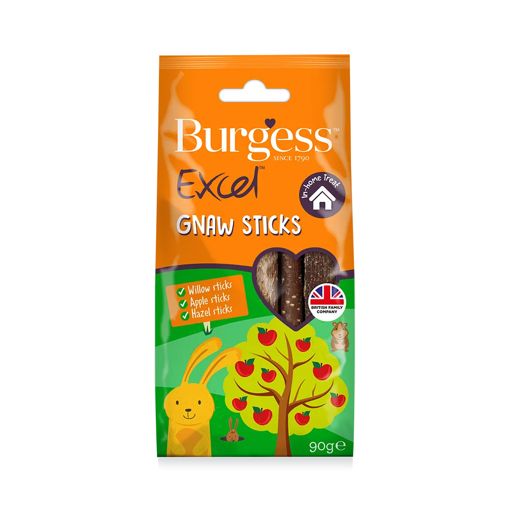 Burgess Excel Gnaw Sticks 90g
