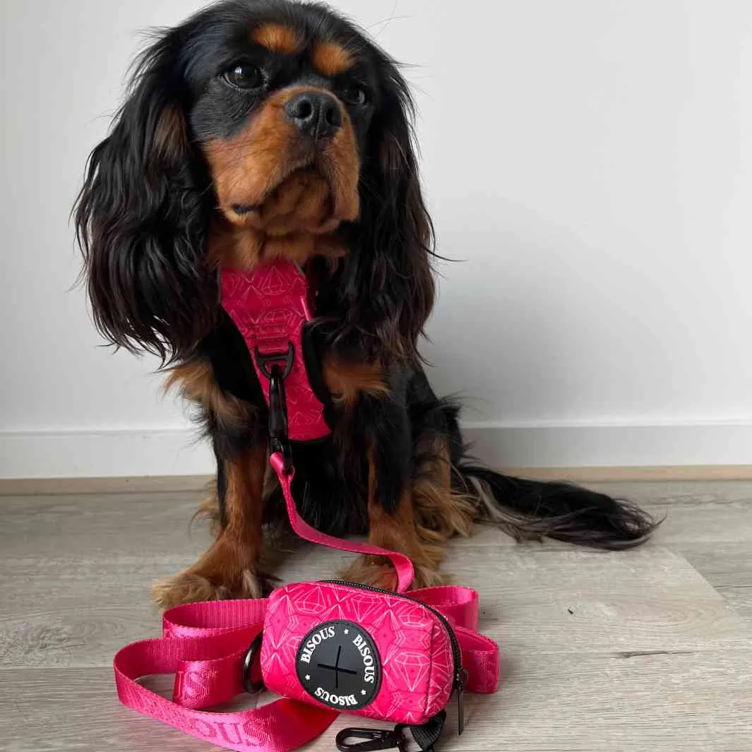 Dog Poop Bag Holder | Madame
