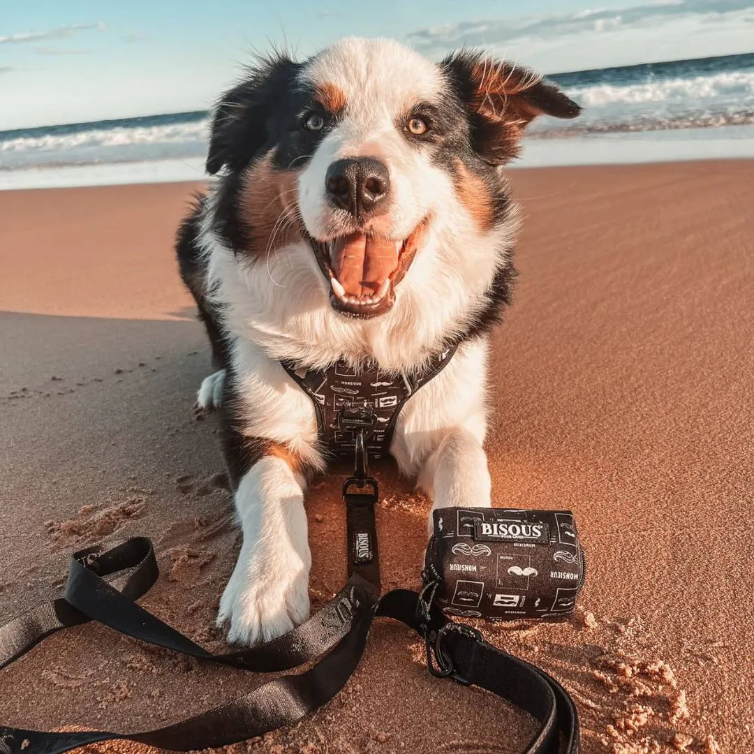 Dog Poop Bag Holder | Monsieur