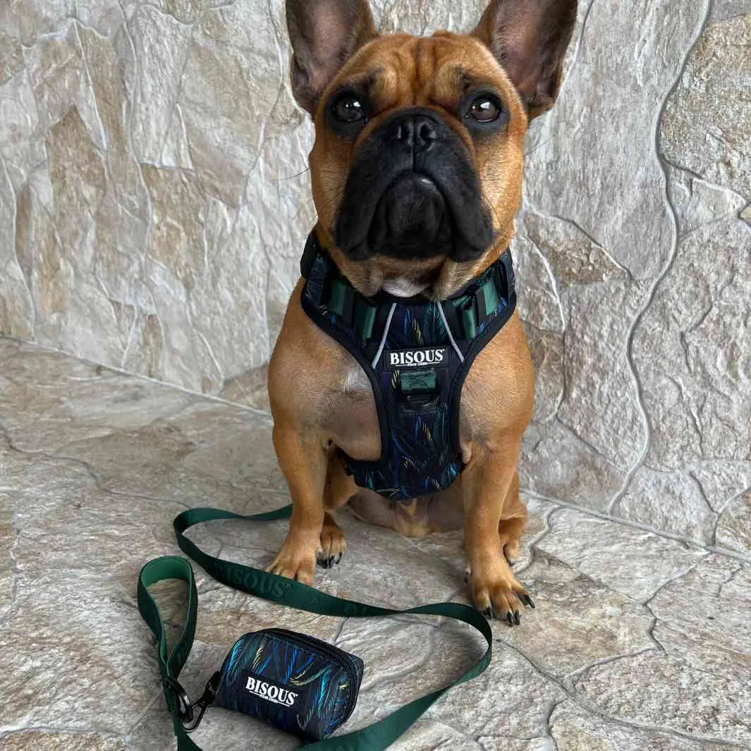 Dog Poop Bag Holder | Plume Green