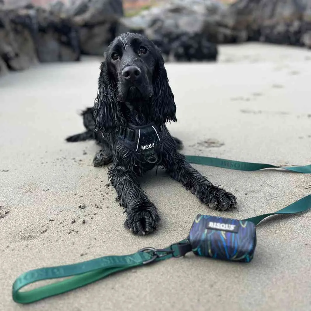 Dog Poop Bag Holder | Plume Green