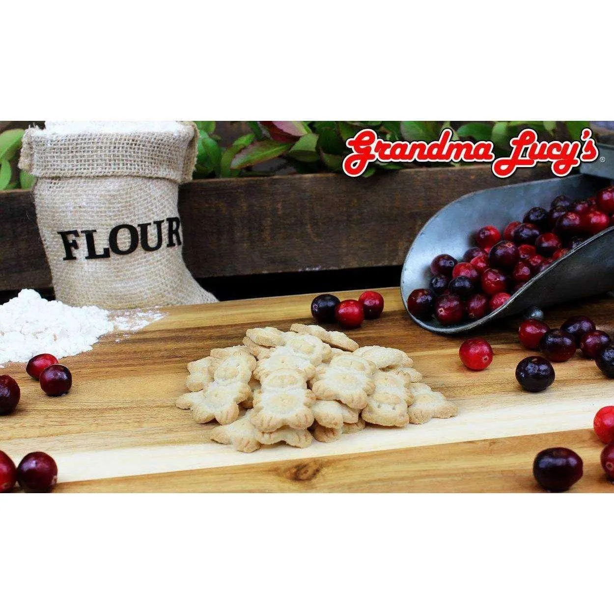Grandma Lucy's Organic Baked Cranberry Treats