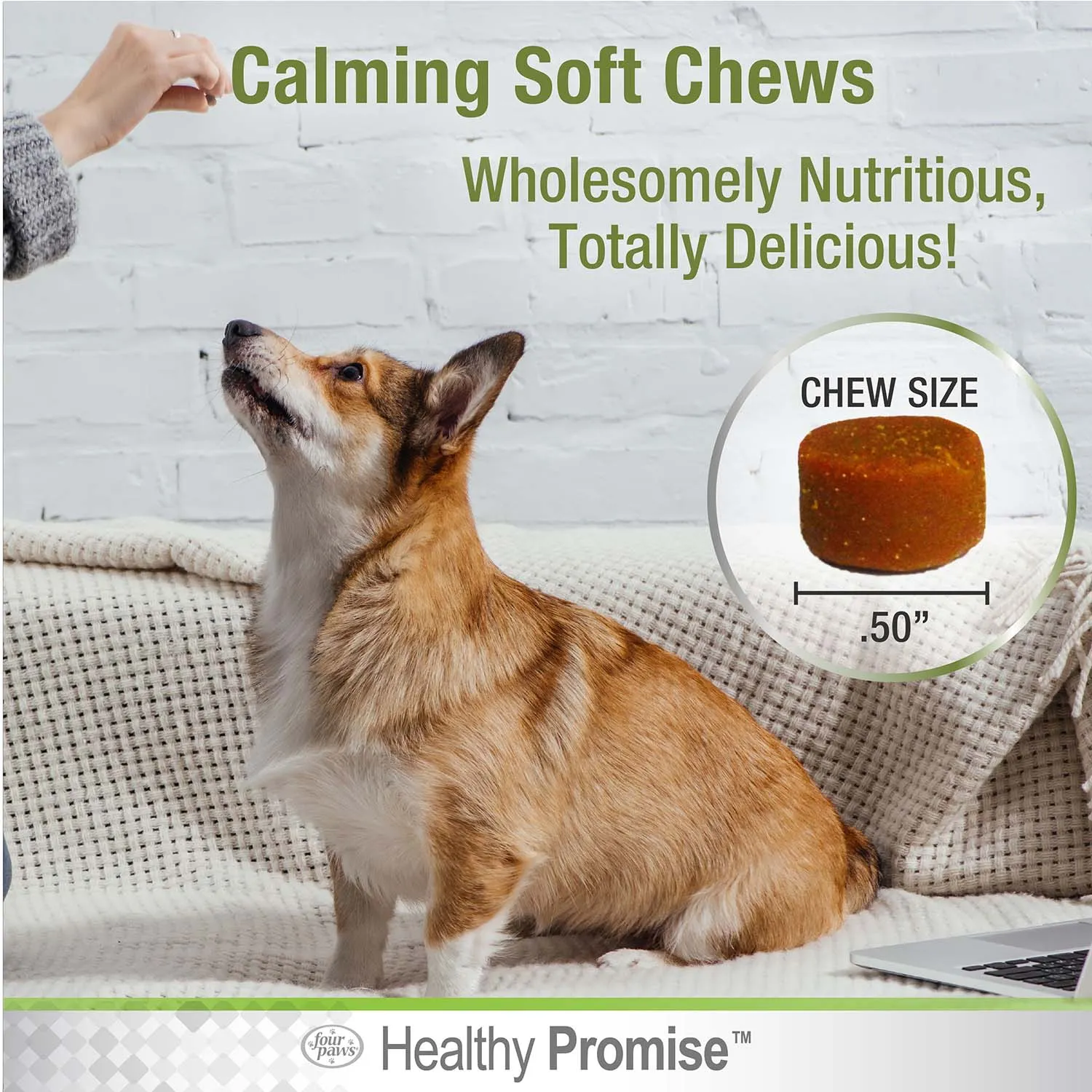 Healthy Promise Calming Chews for Dogs, Savory Liver, 90 ct
