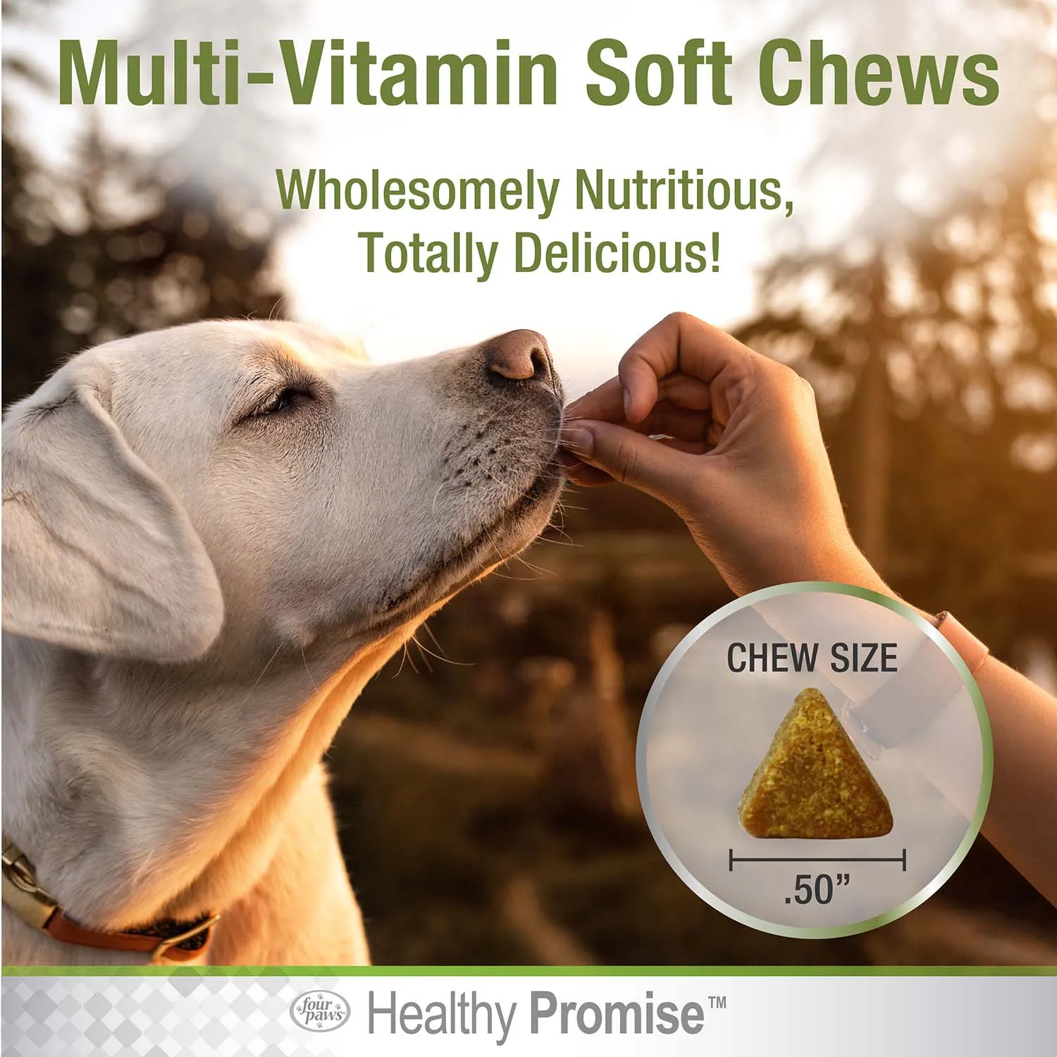 Healthy Promise Dog Multivitamin Soft Chews, Savory Chicken, 120 ct