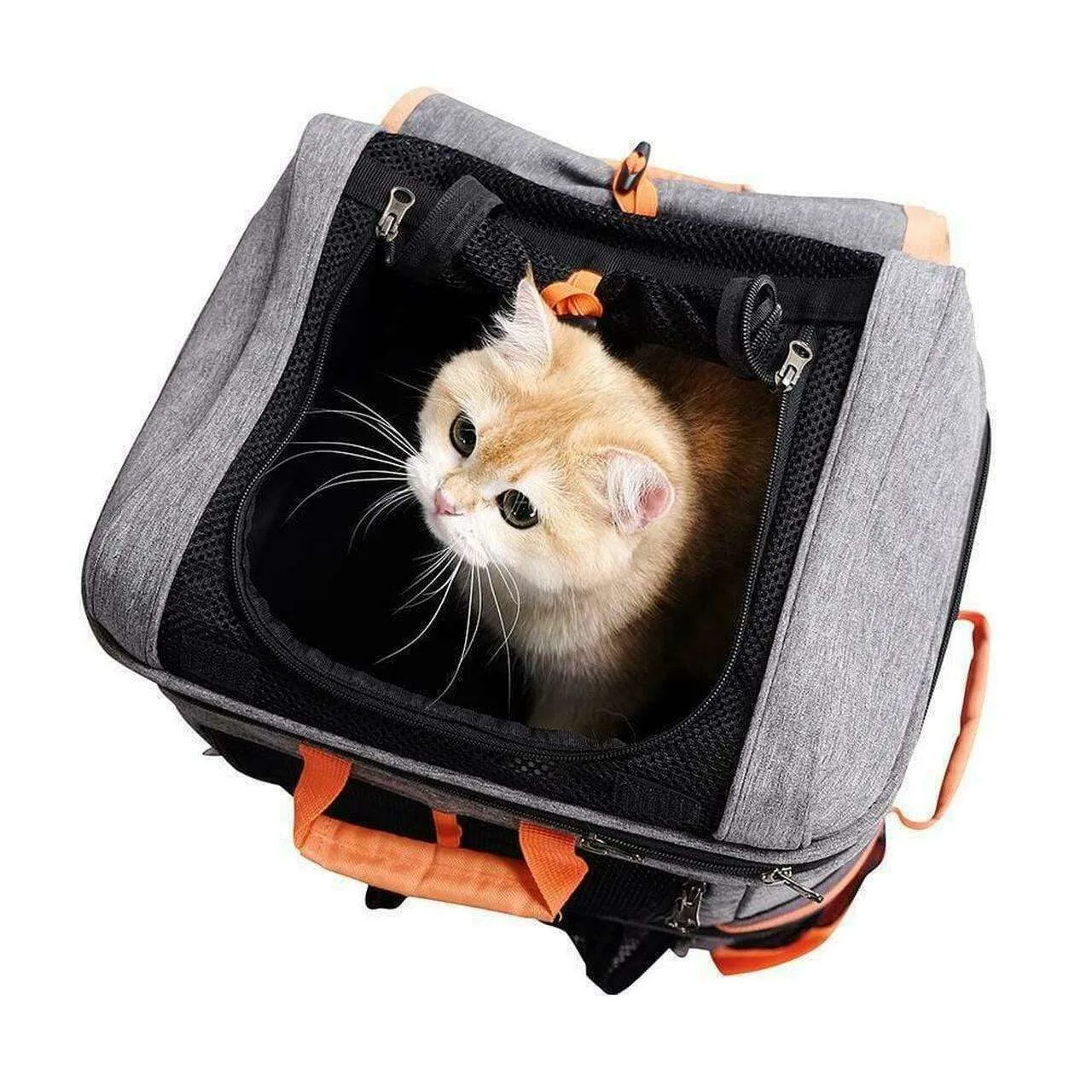 Ibiyaya Two-Tier Pet Backpack
