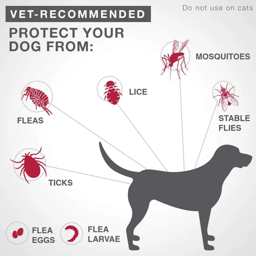 K9 Advantix II  Flea and Tick Treatment Dog Medium