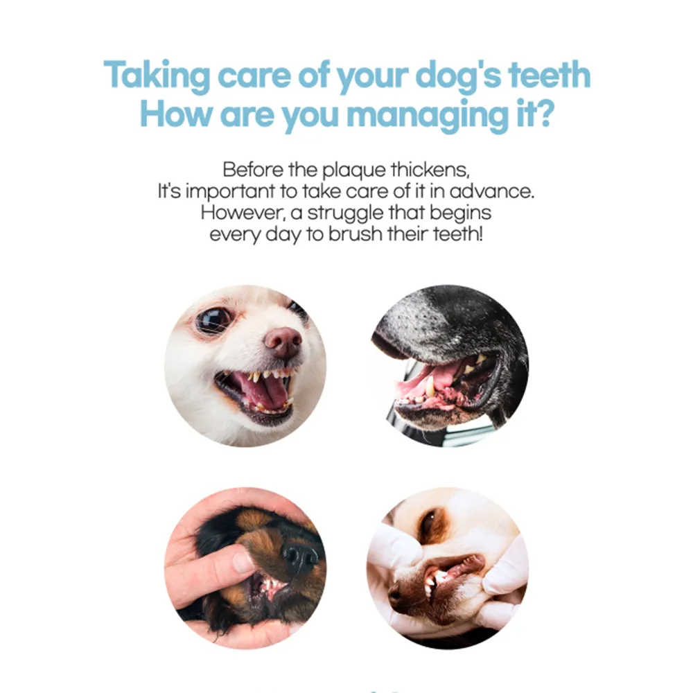 Korean Pet Food Dog Premium Dental Caries Gum 80g