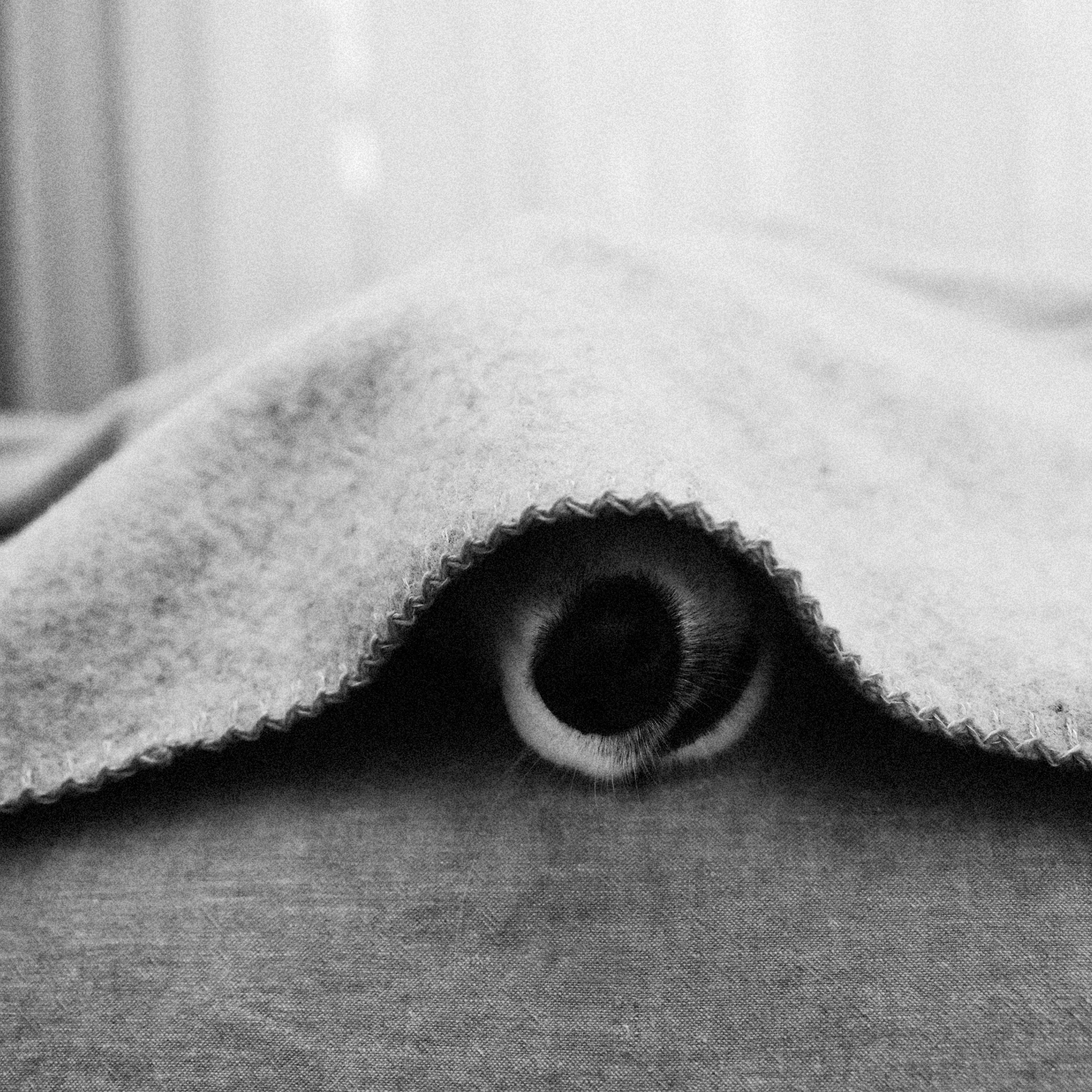 Large Recycled Wool Pet Blanket in Charcoal