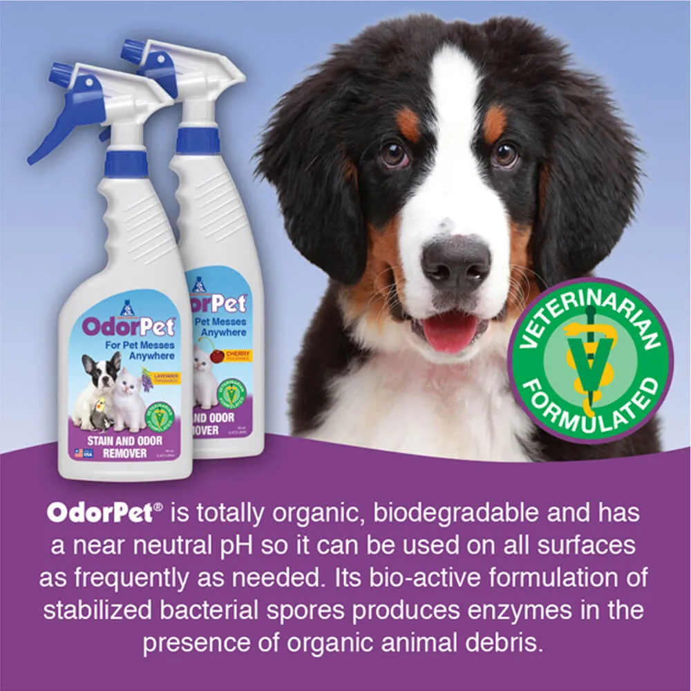OdorPet - RTU 16 oz With Sprayer, Lavender Scent