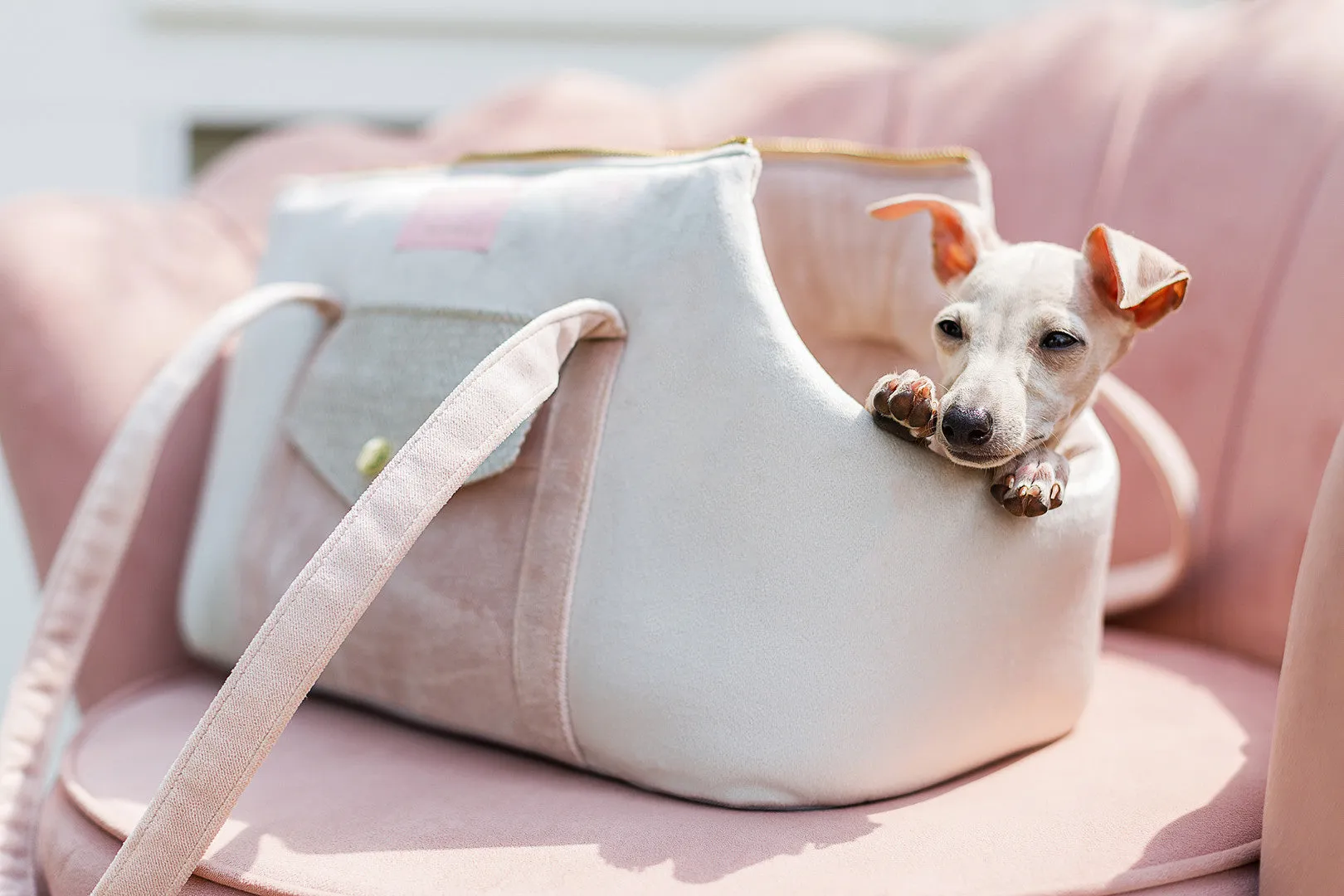 Oh Charlie Pet Carrier Essence