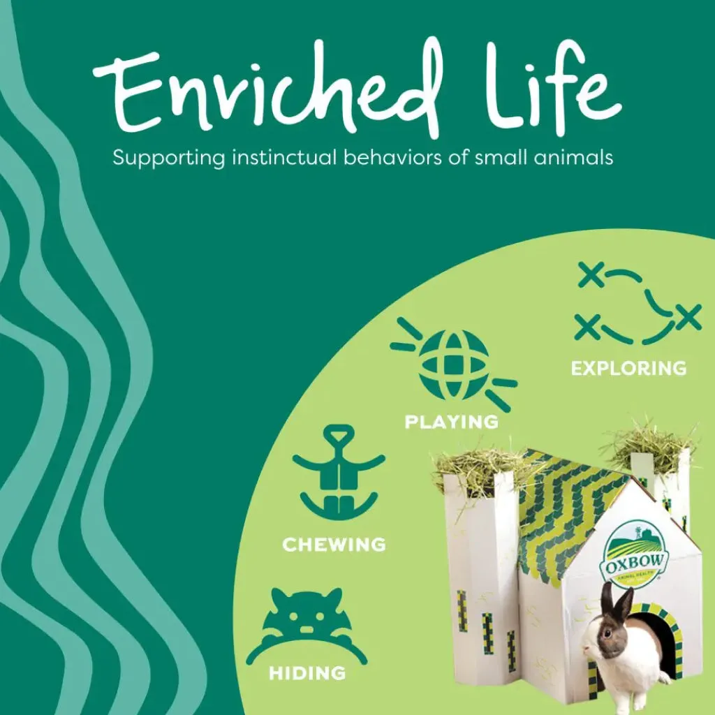 Oxbow Enriched Life Natural Dangly Party Pack Small Pet Toys