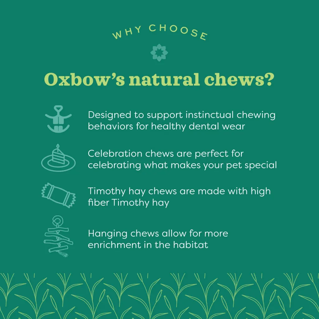 Oxbow Enriched Life Natural Dangly Party Pack Small Pet Toys