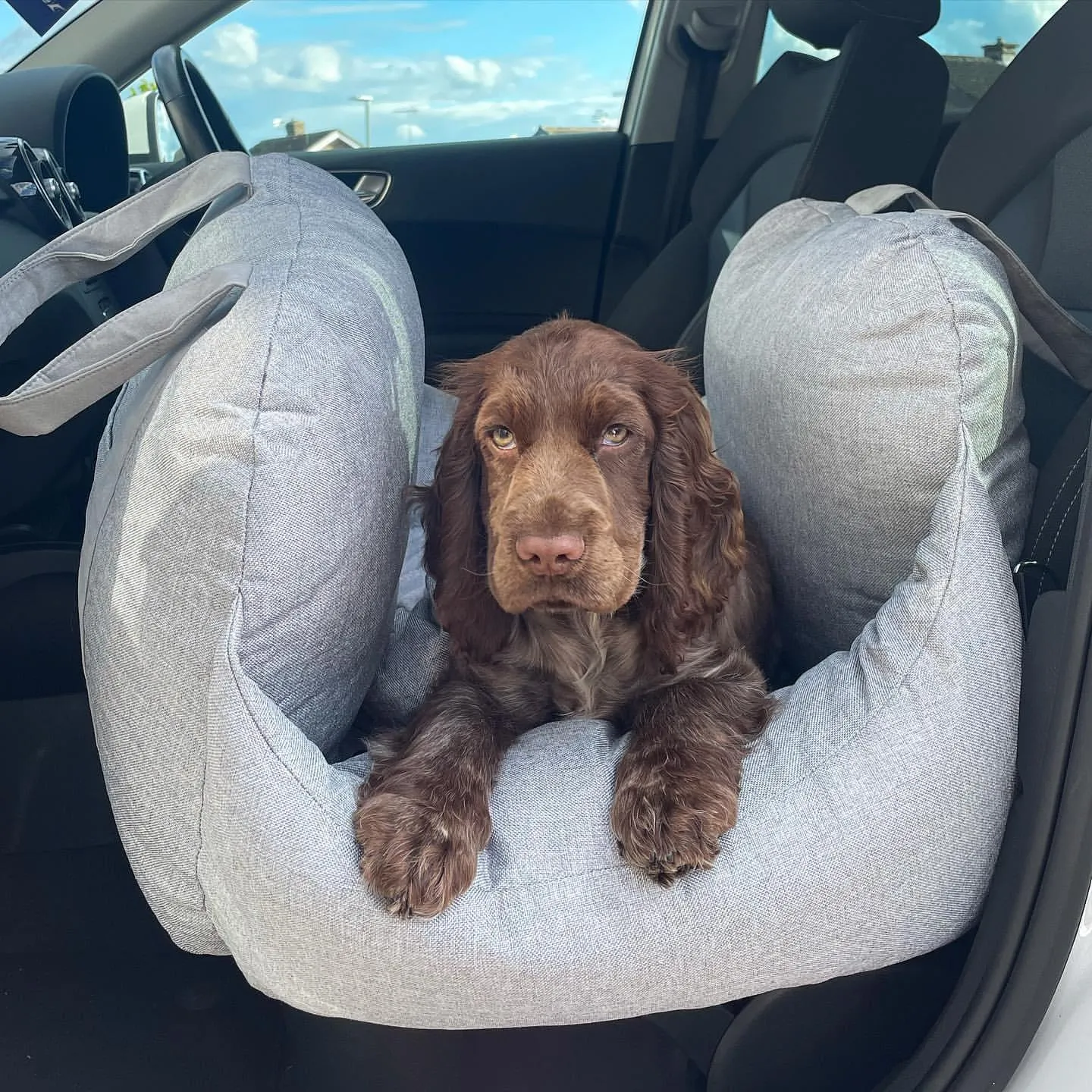 Pat and Pet Emporium | Pet Carriers | Soft Plush Pet Travel Beds