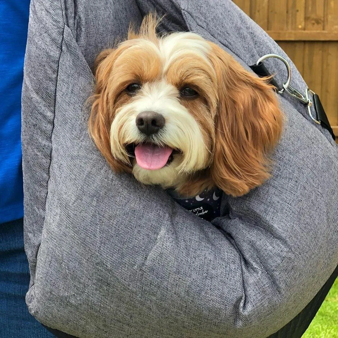 Pat and Pet Emporium | Pet Carriers | Soft Plush Pet Travel Beds