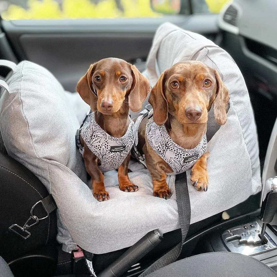 Pat and Pet Emporium | Pet Carriers | Soft Plush Pet Travel Beds
