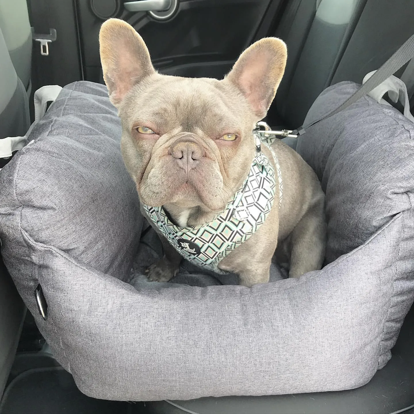 Pat and Pet Emporium | Pet Carriers | Soft Plush Pet Travel Beds