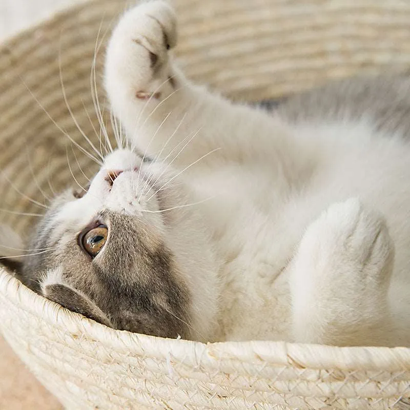 Pet Straw Bed