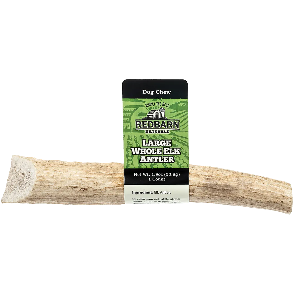 Redbarn Large Whole Elk Antler