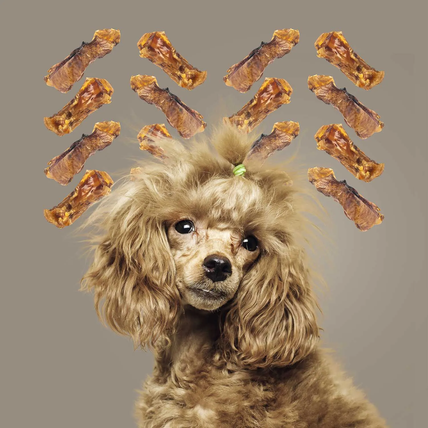 Roam Dog Treats Ossy Chops, 2pk
