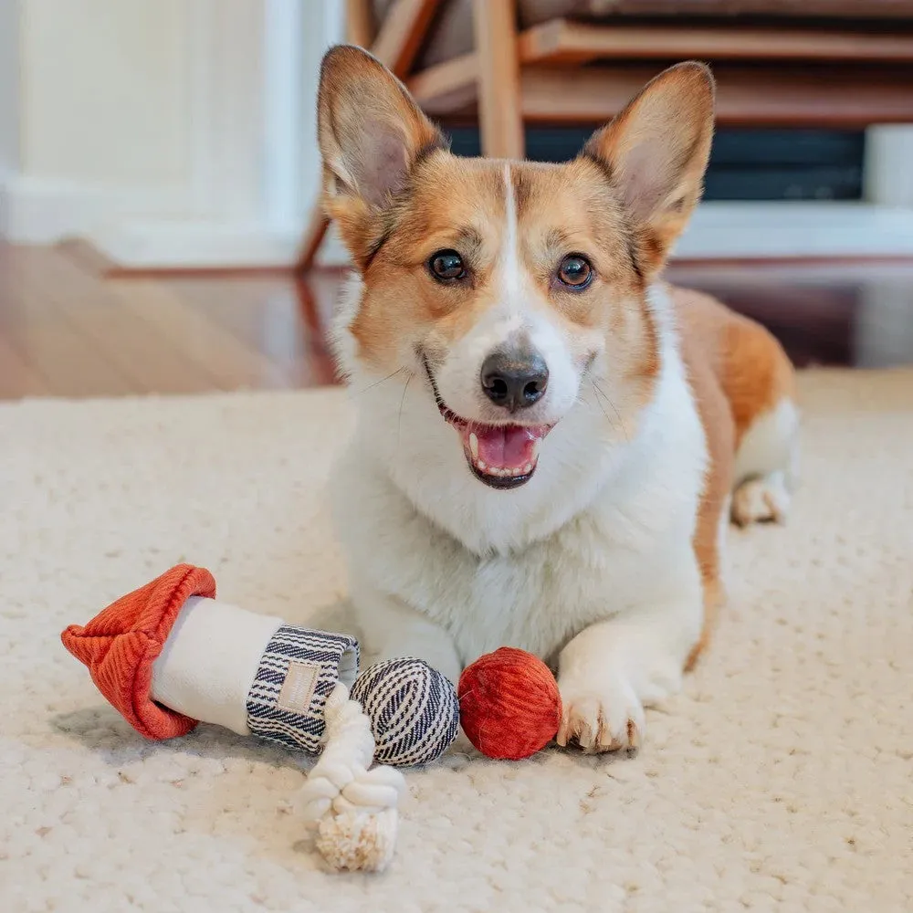 Rocket Confetti Pop Crinkly Snuffle & Bouncy Dog Toy