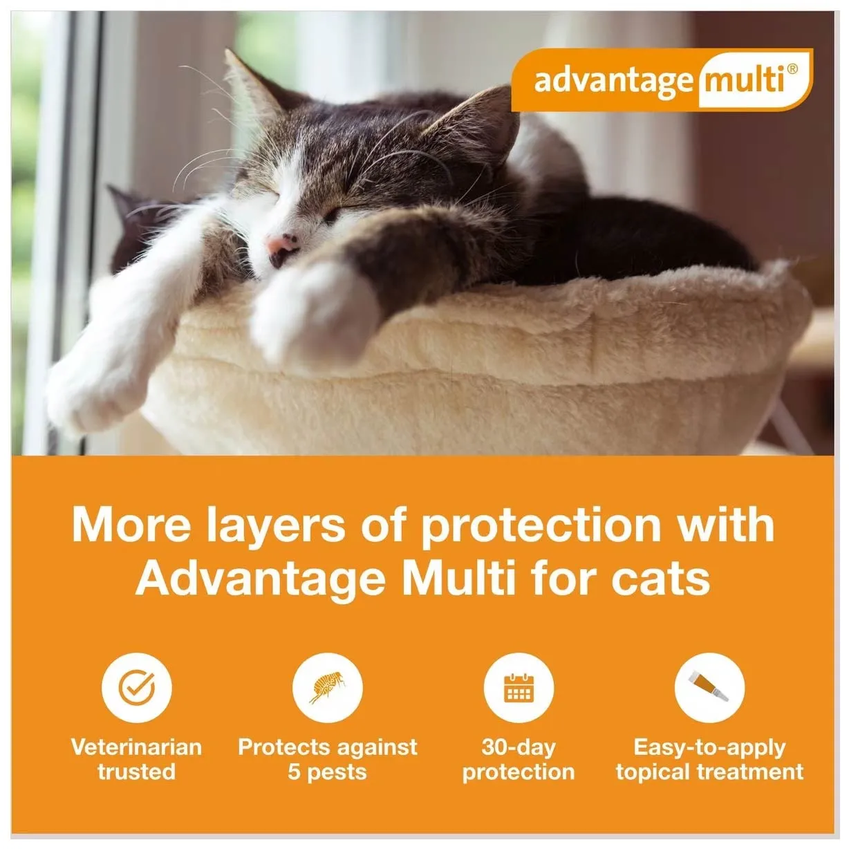 Rx Advantage Multi for Cats