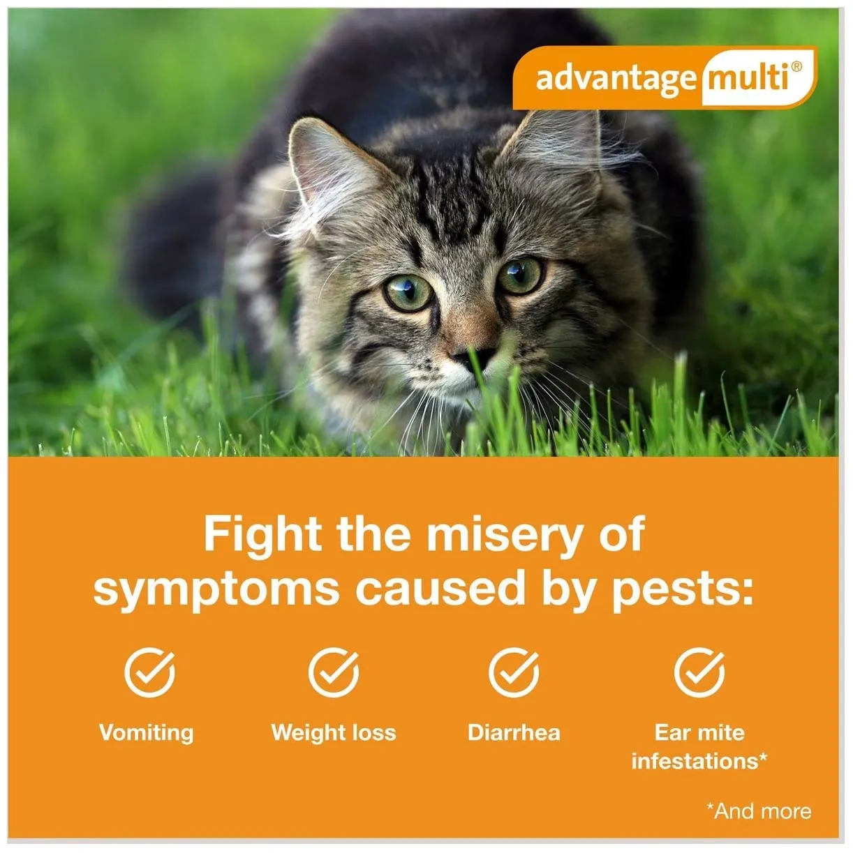 Rx Advantage Multi for Cats
