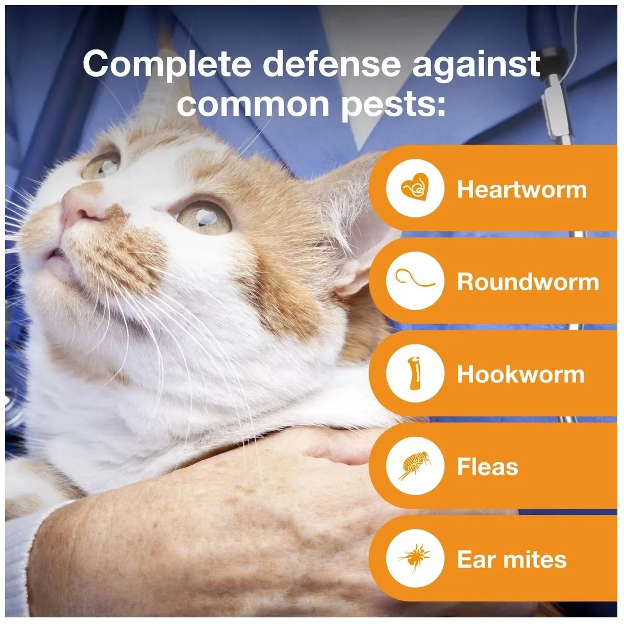 Rx Advantage Multi for Cats
