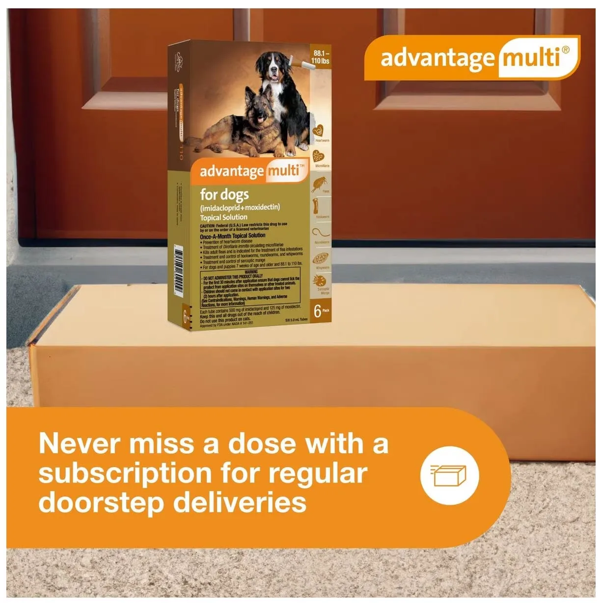 Rx Advantage Multi for Dogs (imidacloprid   moxidectin) Topical Solution, 6 Pack
