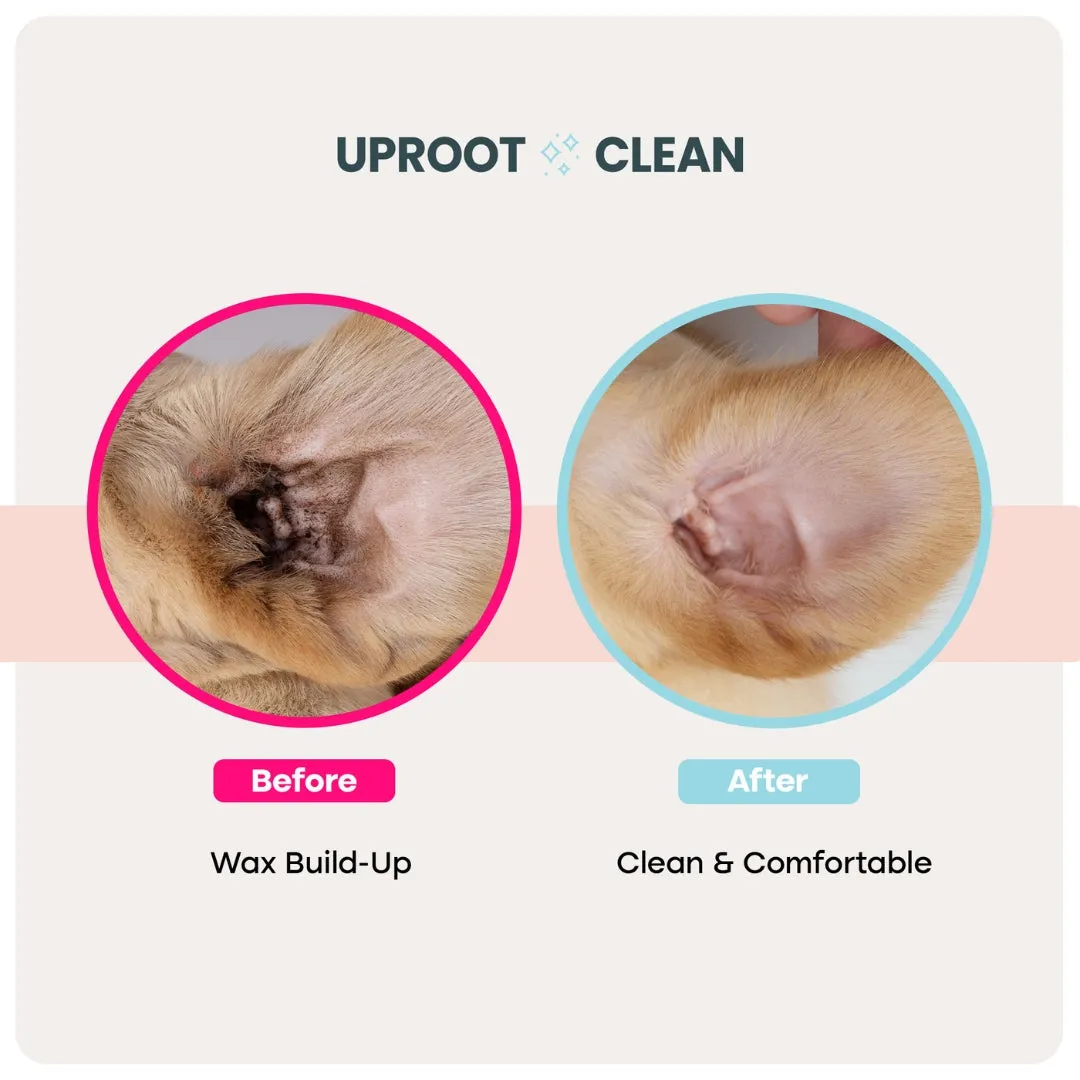 Uproot Ear Wipes