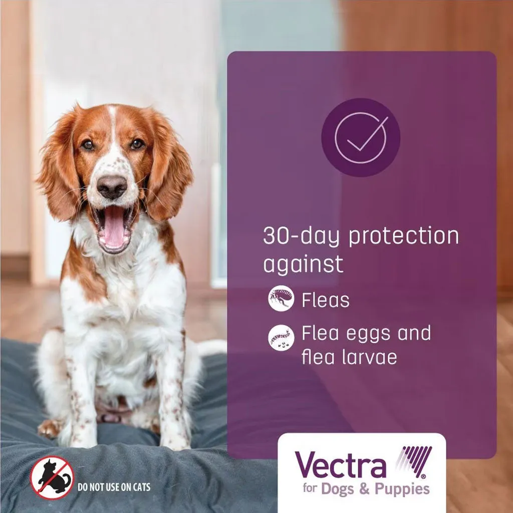 Vectra Flea and Tick Spot Treatment for Medium Dogs & Puppies, 21-55 lbs