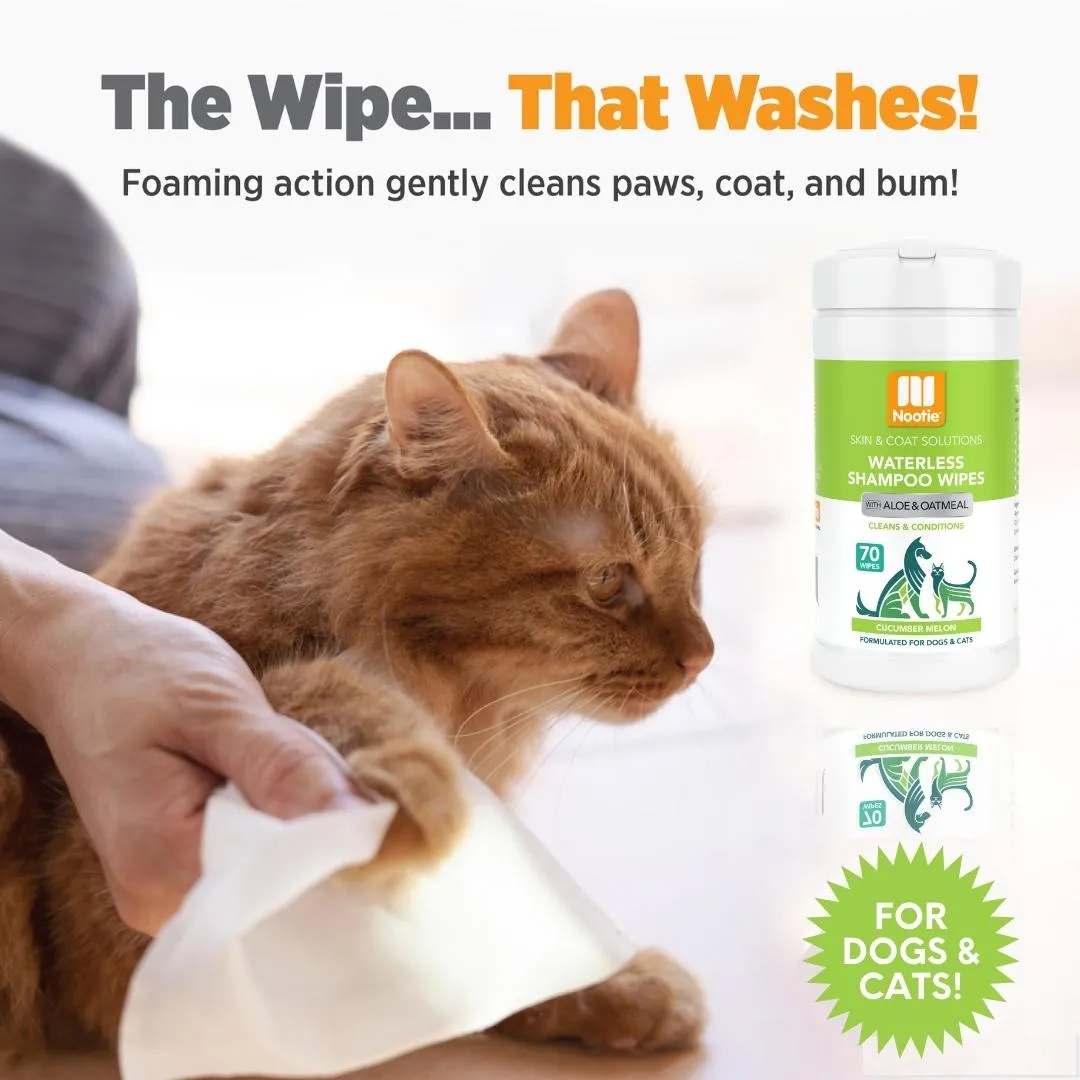 Waterless Shampoo Wipes with Aloe and Oatmeal | Cucumber Melon