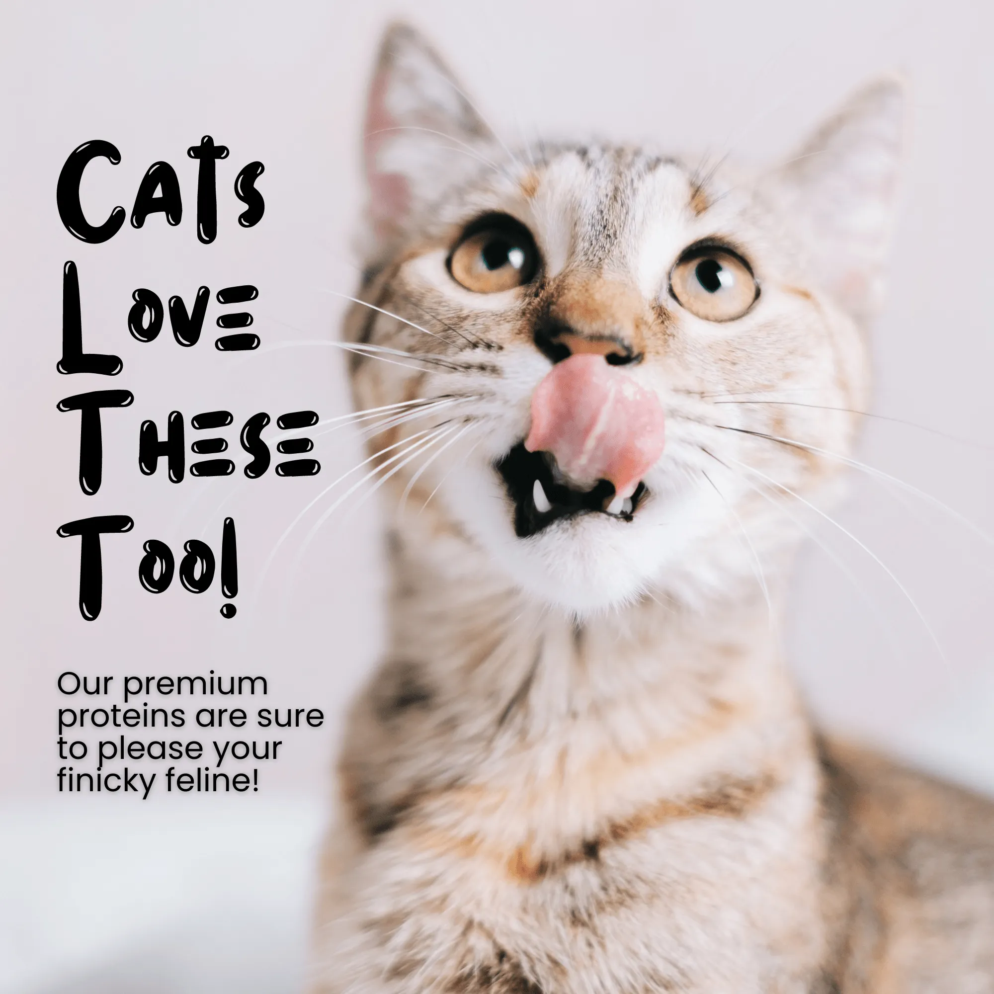 Wholesale Freeze Dried Beef Hearts Treats